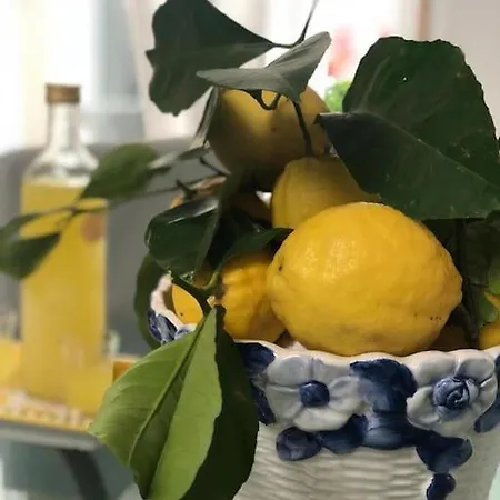 Delizioso A