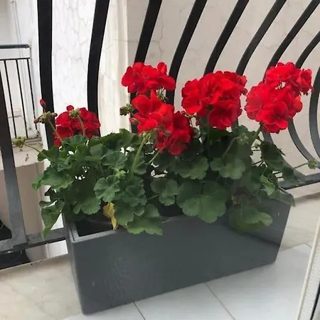 Delizioso A Apartmán *