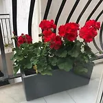 Delizioso A Apartamento *