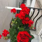 Delizioso A